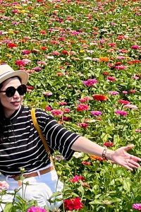 米蘭櫻桃 傳承堡休閒飯店優惠