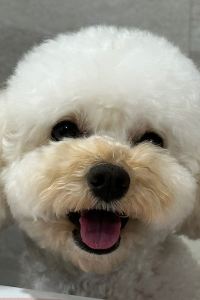율무의여행