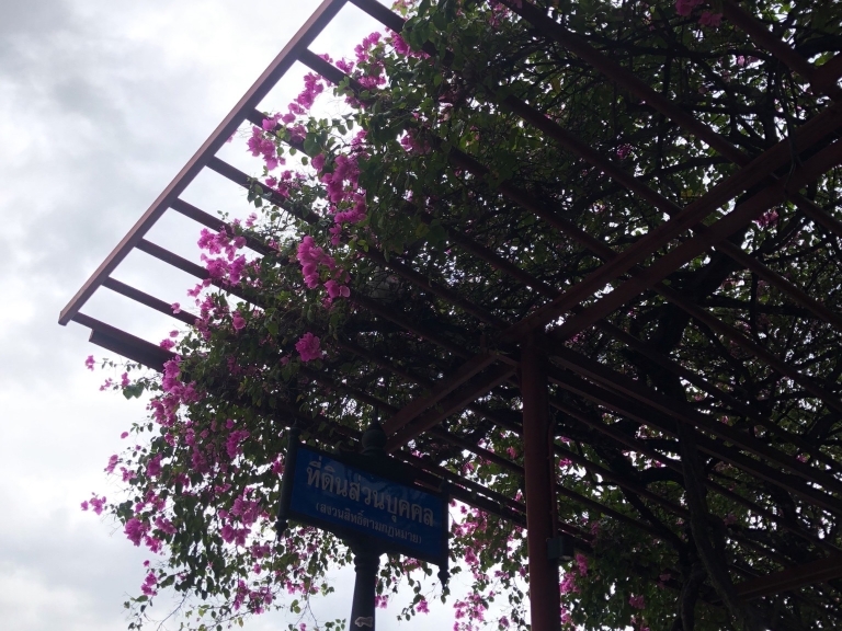 ไปเรื่อยไทม์