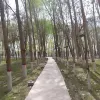 Avatar 2