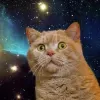 Avatar 1