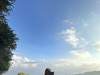 ttoh