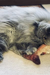 訪客用戶 大理印象水月隱世飯店優惠