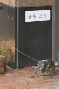 무지성공감빌런