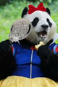 리뷰어 더 앤 리조트 호텔 쿠폰