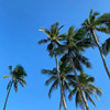PutthaThida