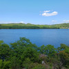 維富