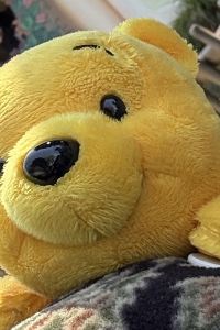 バニー 阿納海姆度假村會議中心歡朋套房酒店優惠