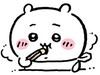 슈슈님