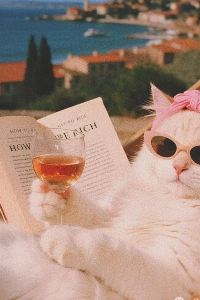 BUTLEE0303 北京皇家格蘭雲天大飯店優惠