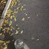 到处跑的赵阿柴