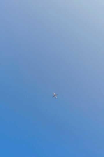 Mayling Gary Leung 挪亞方舟度假酒店優惠