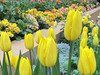 BeautyBloom