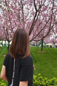 地球上的一角 香港第二十一威菲路酒店優惠