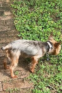 訪客用戶 上海靜安紫苑飯店式公寓優惠