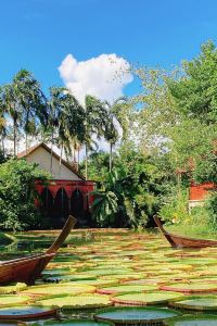 tenboss 函館国際ホテル クーポン