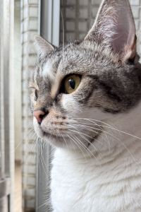 Shuetyee 藝宿商旅（台北寧夏館）優惠