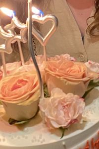 細貓皇后 如家派柏·雲酒店（珠海情侶路日月貝店）優惠