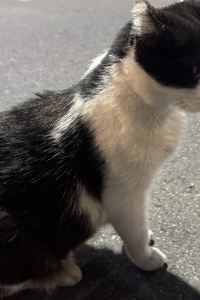 Wang yishan 台中博客創意旅店優惠