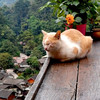 MywayMytrip