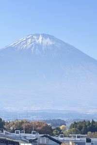 訪客 東急STAY新宿東區優惠
