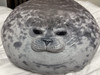 長崎岸久