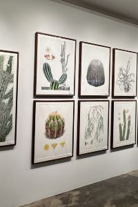 kayumanis 京急EXイン 浜松町・大門駅前 クーポン