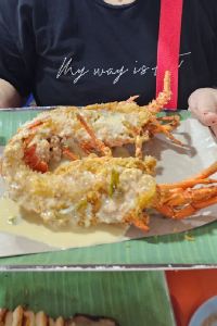 Lady Tiffany 塞拉亞酒店優惠