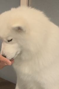 Ellie 元外資系OLのカナダ生活 卡爾加里市中心華美達酒店優惠