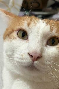 訪客 Vessel花苑沖繩酒店優惠