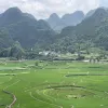 Avatar 1