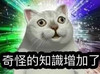 CrystalChoi