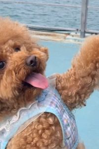 Explorer Somewhere 狂想曲官方度假村優惠