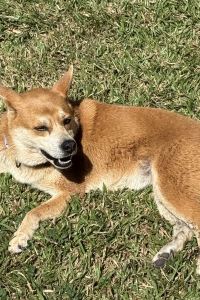 大衛大俠 逢甲叮噹旅舍優惠