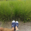 BZ RGSYA