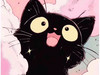 RachelDo