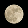 ChrisWong64677875