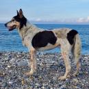 晴空萬里(Clear skies )