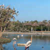 Phatcharaporn Nanchoo