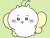 Yangh