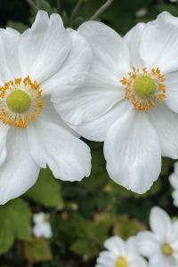 AnitaLeung 藝宿商旅（台北寧夏館）優惠