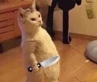 No nameee 樂宸米雅酒店優惠