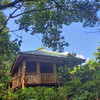 Buhoma Gorilla Camp