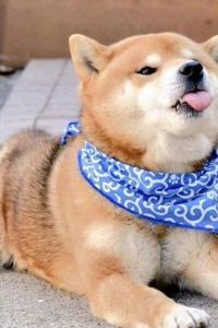 大橙子 ビジネスホテル　サンパール クーポン