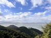 小悠悠