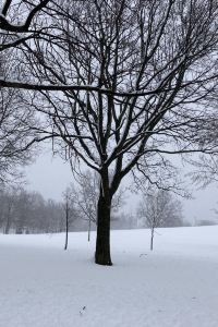 Henri Chau 科夫特爾酒店優惠