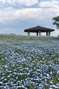 Connieコニー 東急STAY沖繩那霸優惠