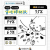 勤勞的貓咪