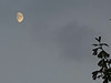 리버누나