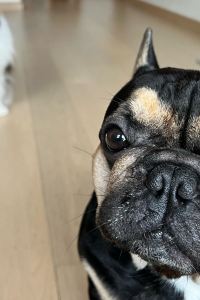 ゲスト 【Alphabedサンポート高松】 クーポン